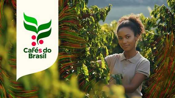Cafés do Brasil